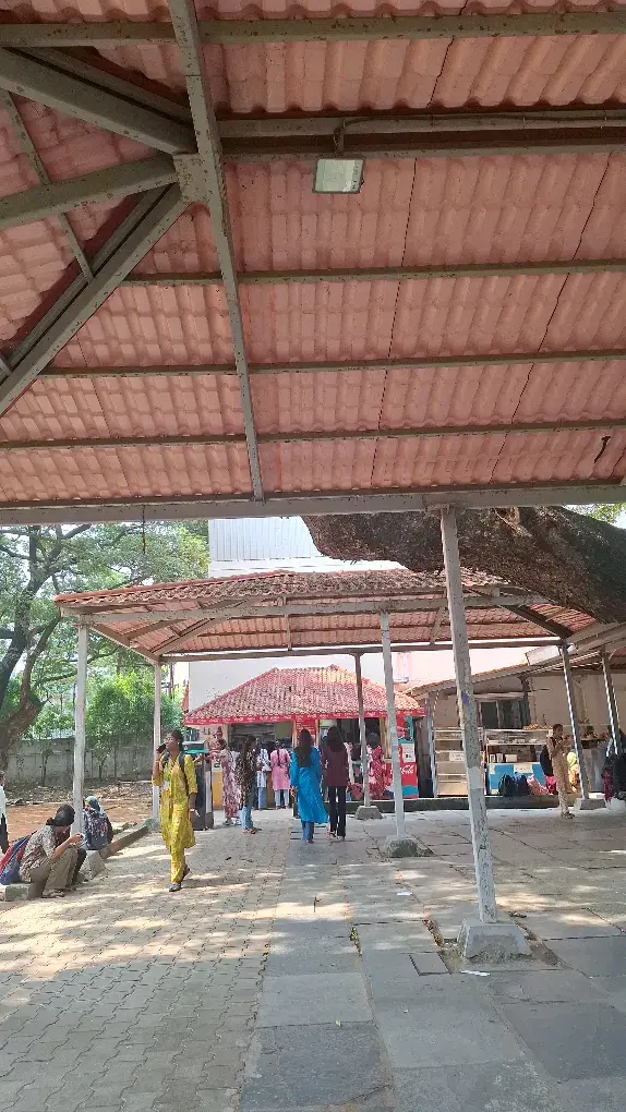 Stella Maris College Chennai Campus photo 2